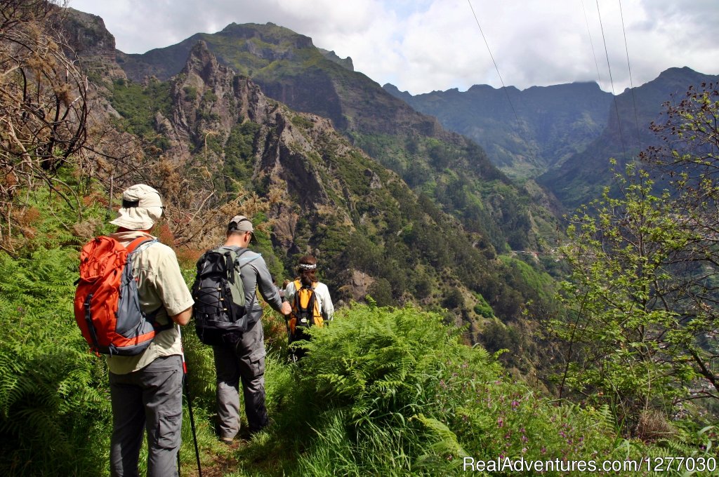 Hiking in Madeira | Madeira Great Walks 8D | Image #4/6 | 