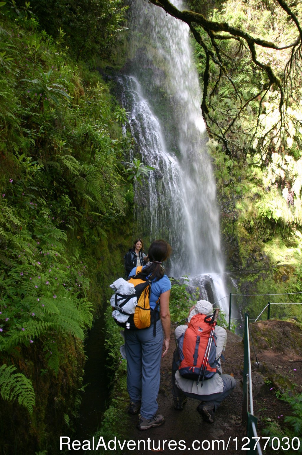 Waterfall in Madeira | Madeira Great Walks 8D | Image #5/6 | 