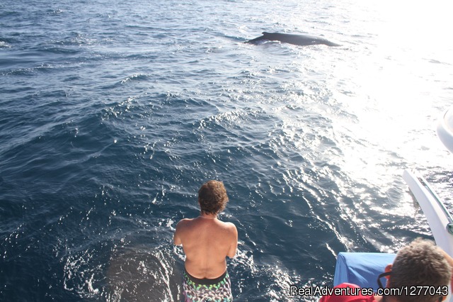 Private Sail Boat Charters Puerto Rico Photo