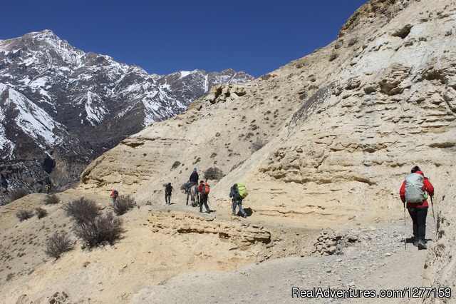 Trekking In Nepal Himalays 