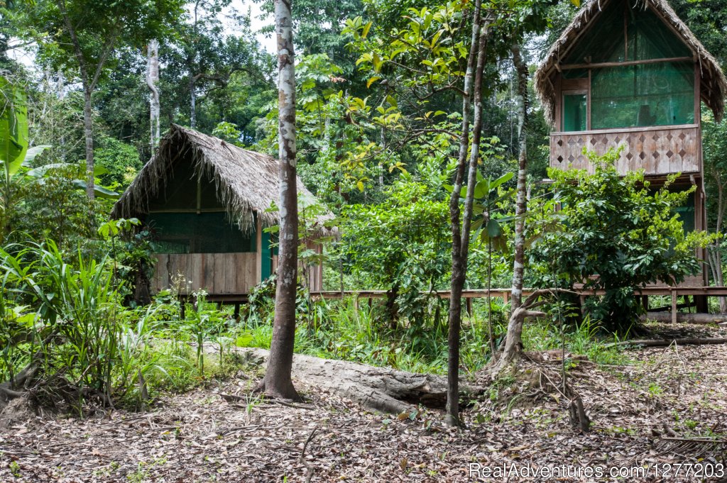 Front view of Jungle lodge | Conservation in Action at Tapiche Jungle Reserve | Iquitos, Peru | Wildlife & Safari Tours | Image #1/7 | 