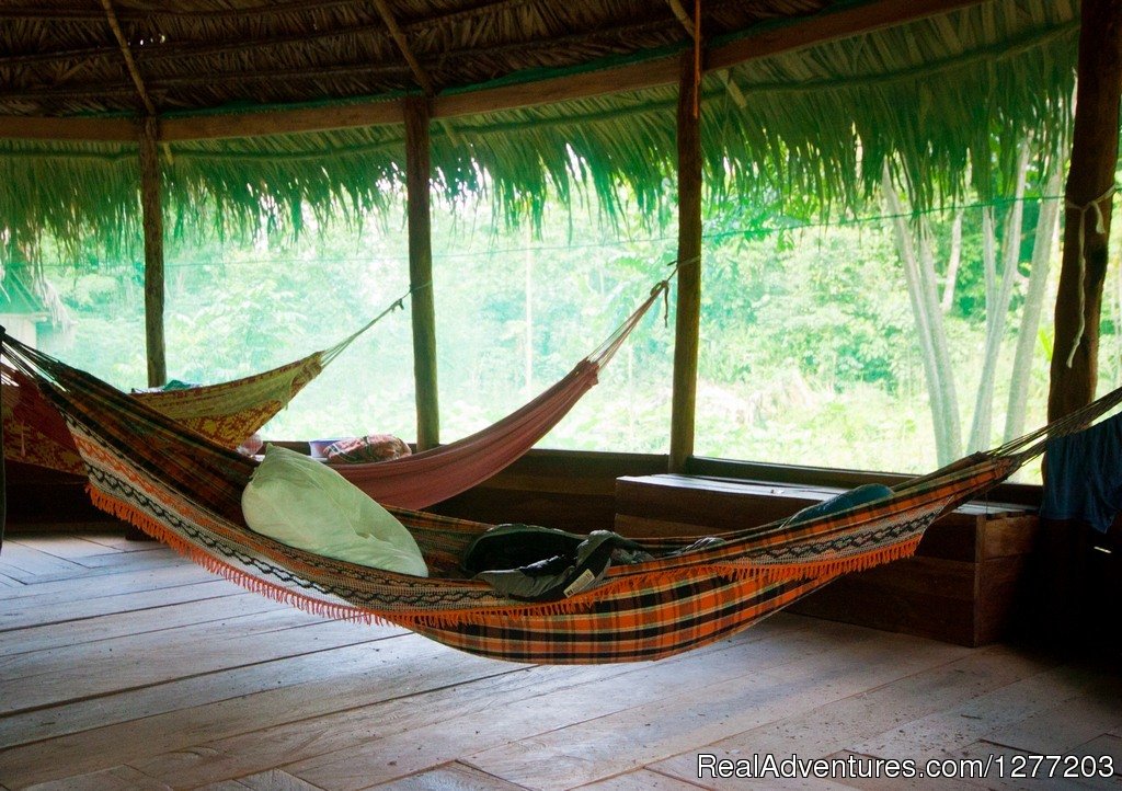 Hammock insect proof house | Conservation in Action at Tapiche Jungle Reserve | Image #4/7 | 