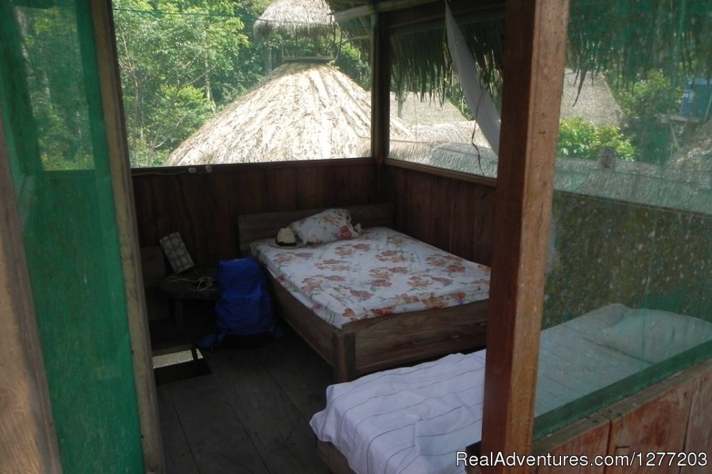 Doble room ensuite, insect proof. | Conservation in Action at Tapiche Jungle Reserve | Image #3/7 | 