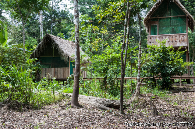 Tapiche Reserve Real Jungle Experience Photo