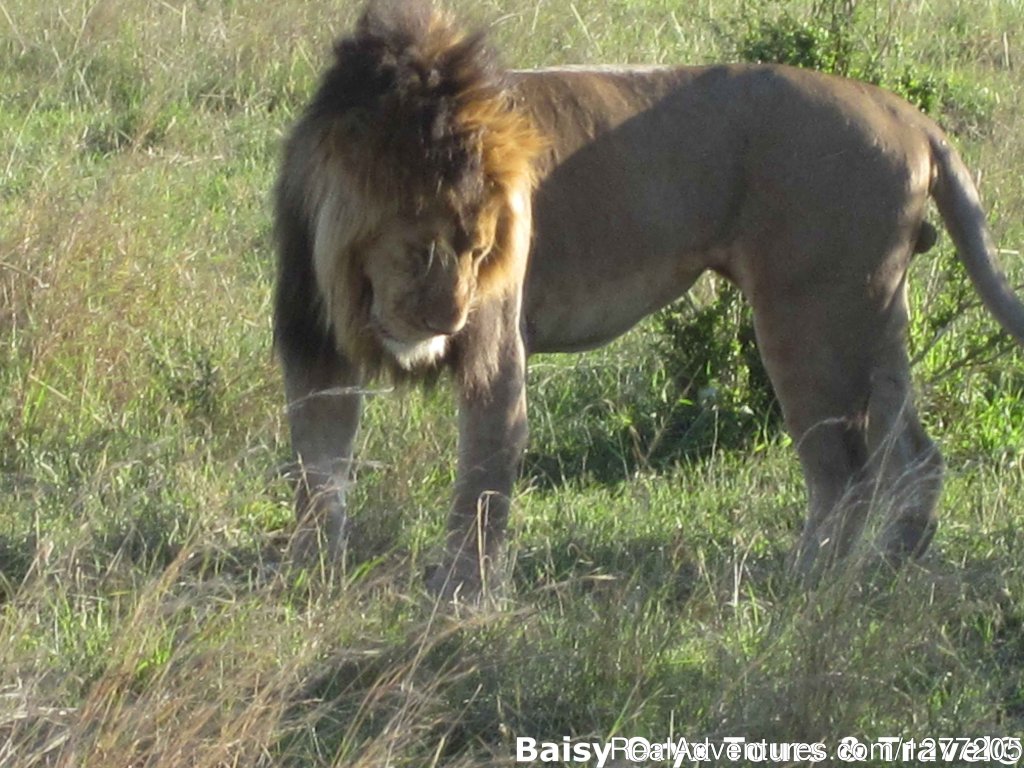 6 Days Big Five Adventure | Nairobi, Kenya | Wildlife & Safari Tours | Image #1/7 | 