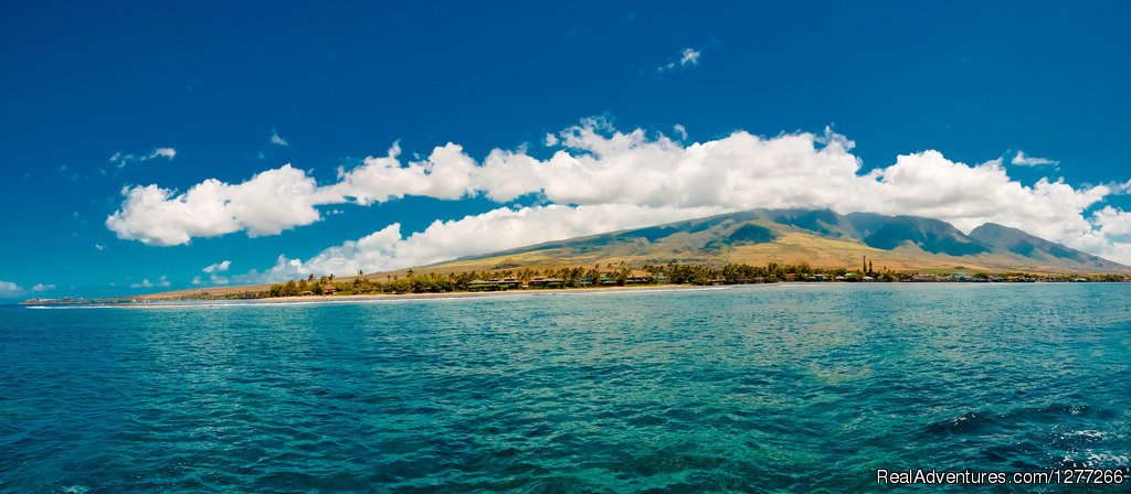 South Side of Maui | Small Maui Boat Trips & Whale Watching | Wailuku, Hawaii  | Scuba Diving & Snorkeling | Image #1/3 | 