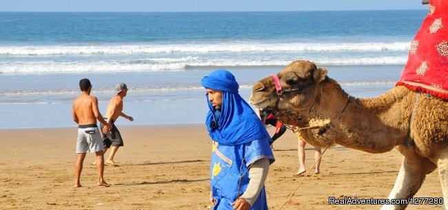 Beach Camel Morocco | Imouran Surfing Morocco | Image #9/9 | 
