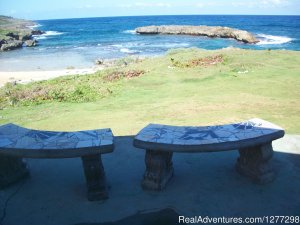 Blue Heaven Ocean Front Villa | Albert Town, Jamaica | Bed & Breakfasts