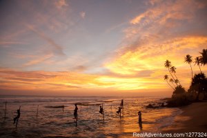 Discover Sri Lanka | Colombo, Sri Lanka | Sight-Seeing Tours
