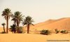 Desert Morocco Tours Sarl | Sahara Desert Trips | Merzouga, Morocco