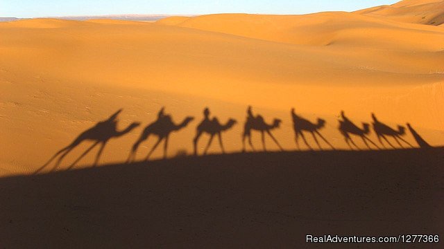 Camel Tour | Morocco Tours and Camel Trekking | Image #3/7 | 