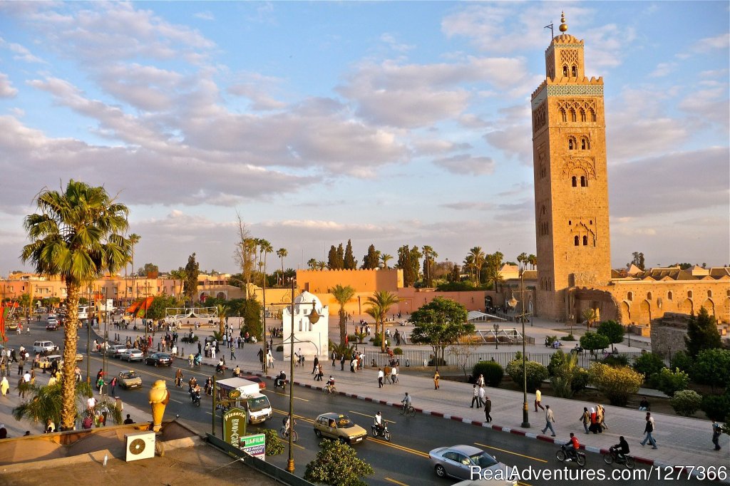Marrakesh | Morocco Tours and Camel Trekking | Image #6/7 | 
