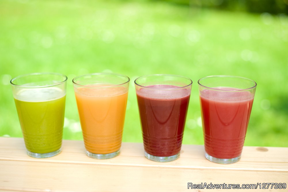 Vibrant Juice | Yoga, Gourmet Raw food/chocolate South of France | Image #12/17 | 
