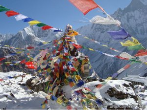 Nepal Tours And Treks