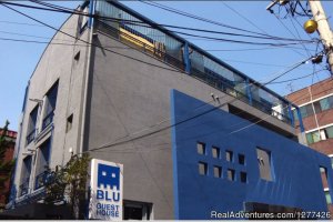 Blu Guesthouse?Seoul Korea
