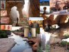 Spectacular Cederberg & Ancient San Rock Art Sites | Cape Town, South Africa