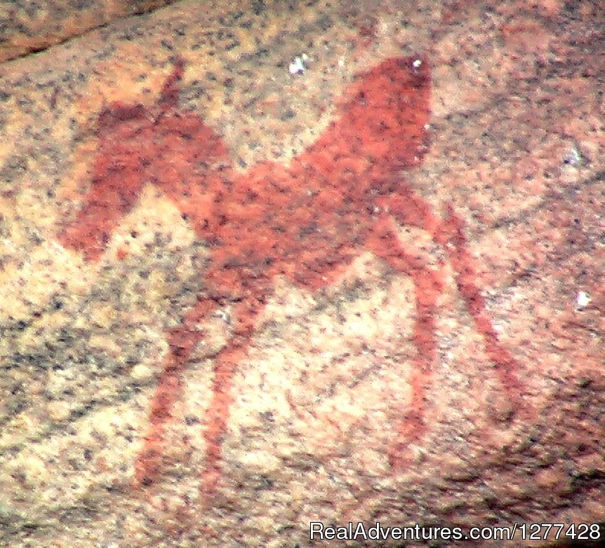 San (Bushman) painting | Spectacular Cederberg & Ancient San Rock Art Sites | Image #4/12 | 