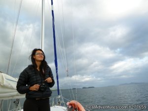 Sound Sailing- Crewed Sailboat Charters in Alaska | Sitka, Alaska | Sailing