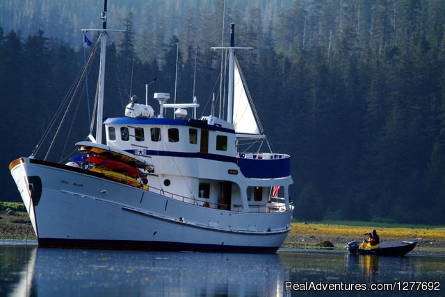 Alaska Charter Yachts Photo