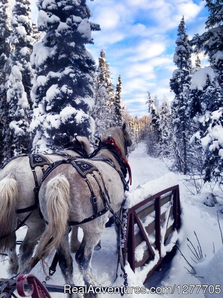 Alaska Horse Adventures | Palmer, Alaska  | Horseback Riding & Dude Ranches | Image #1/9 | 
