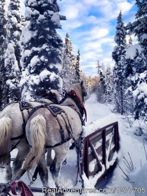 Alaska Horse Adventures | Palmer, Alaska | Horseback Riding & Dude Ranches