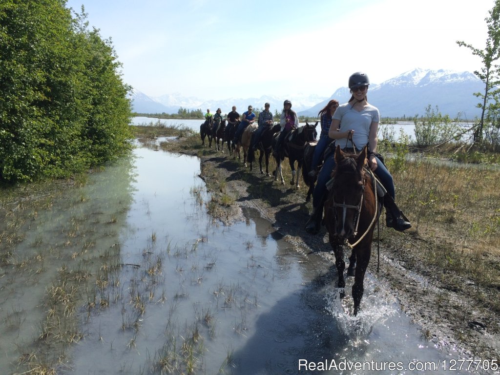Alaska Horse Adventures | Image #7/9 | 