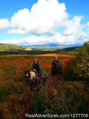 Denali Horseback Tours | Healy, Alaska | Horseback Riding & Dude Ranches