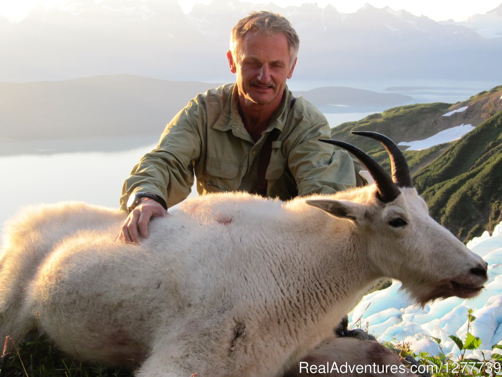 Mountain goat hunt | Alaska Fair Chase Guiding | Haines, Alaska  | Hunting Trips | Image #1/1 | 
