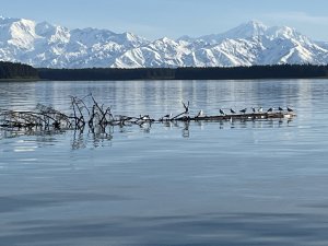Sailing Alaska | Auke Bay, Alaska Sailing | Great Vacations & Exciting Destinations