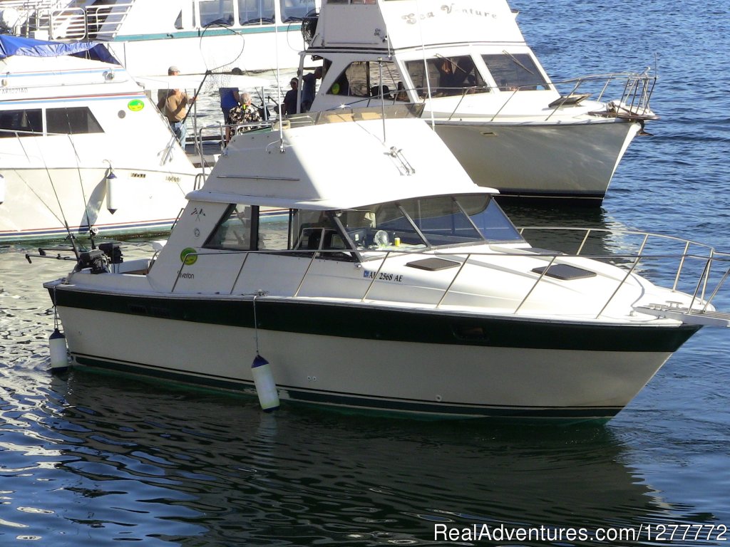 Dropping off the guests fish to the third party processor. | Ketchikan Charter Boats | Image #6/6 | 