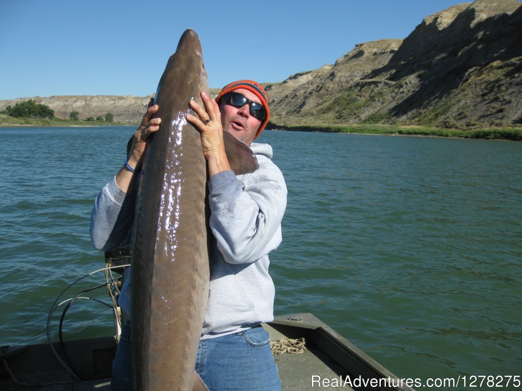 81 Pounder | Alberta Sturgeon Fishing Trips | Medicine Hat, Alberta  | Fishing Trips | Image #1/5 | 