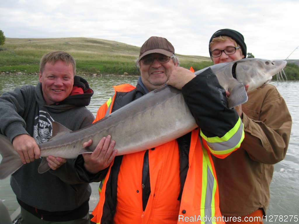 an Alberta adventure | Alberta Sturgeon Fishing Trips | Image #4/5 | 