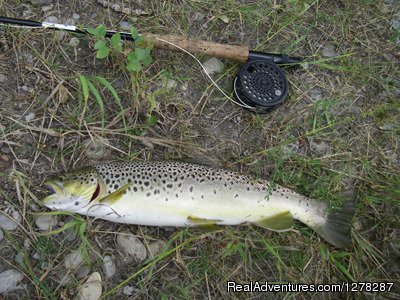 Big Brown Trout | Foot & Chain | Image #6/10 | 
