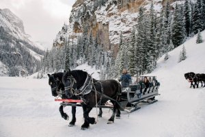 Brewster Adventures | Lake Louise, Alberta | Horseback Riding & Dude Ranches