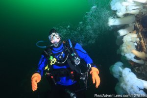 Alberta Adventure Divers | Wainwright, Alberta | Scuba Diving & Snorkeling