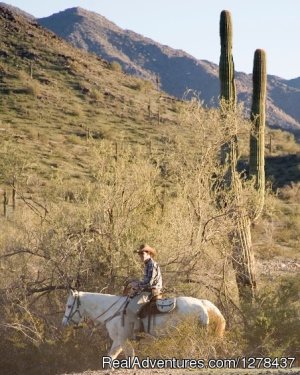 Corral West Adventures | Goodyear, Arizona | Horseback Riding & Dude Ranches