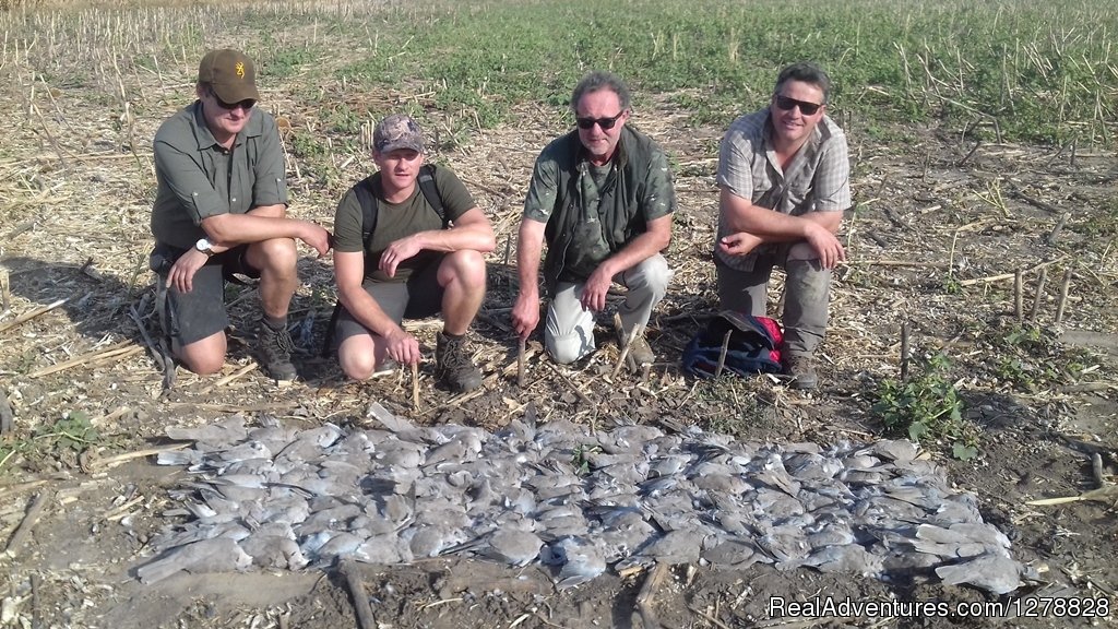 Quail and dove hunting | Big and small game hunting in Romania | Image #3/26 | 