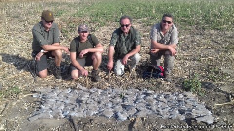 Quail and dove hunting