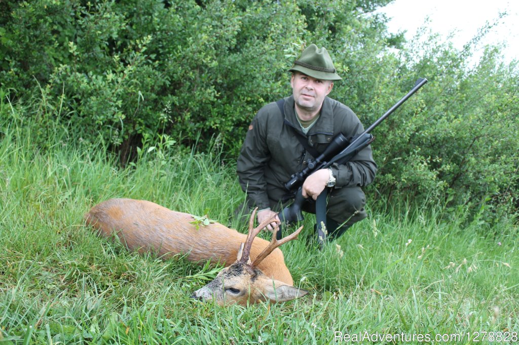 Roe deer stalking in Romania | Big and small game hunting in Romania | Image #5/26 | 