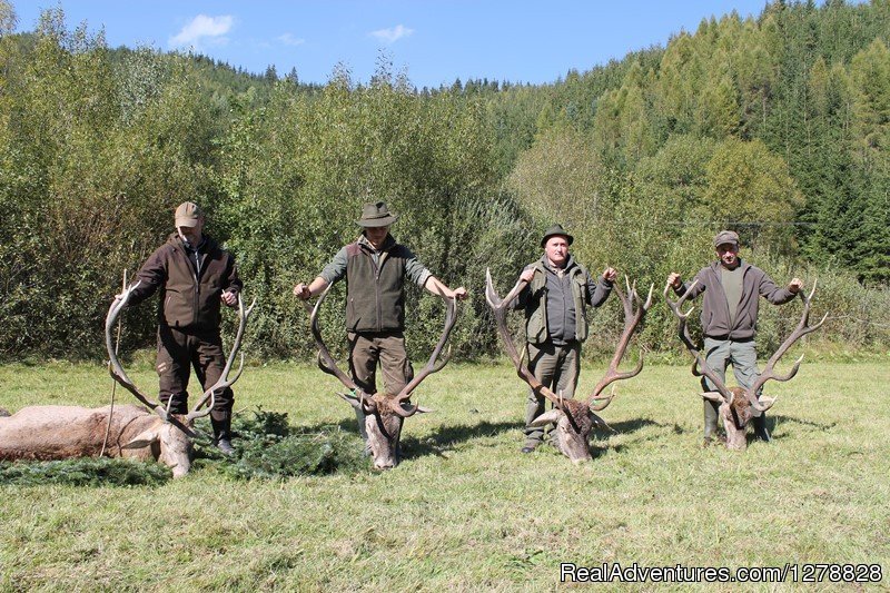Red deer hunting in Romania | Big and small game hunting in Romania | Image #6/26 | 