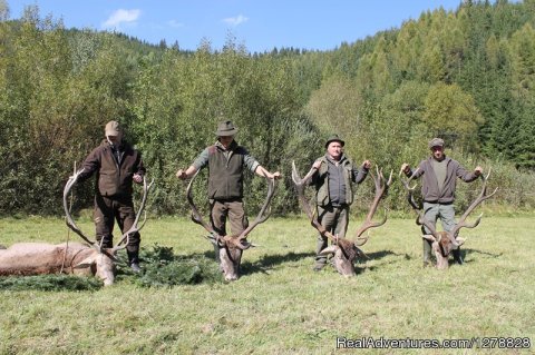 Red deer hunting in Romania