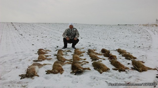 Hare hunting | Big and small game hunting in Romania | Image #10/26 | 
