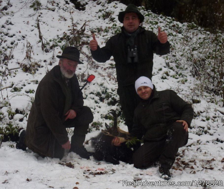 Chamois hunting | Big and small game hunting in Romania | Image #11/26 | 