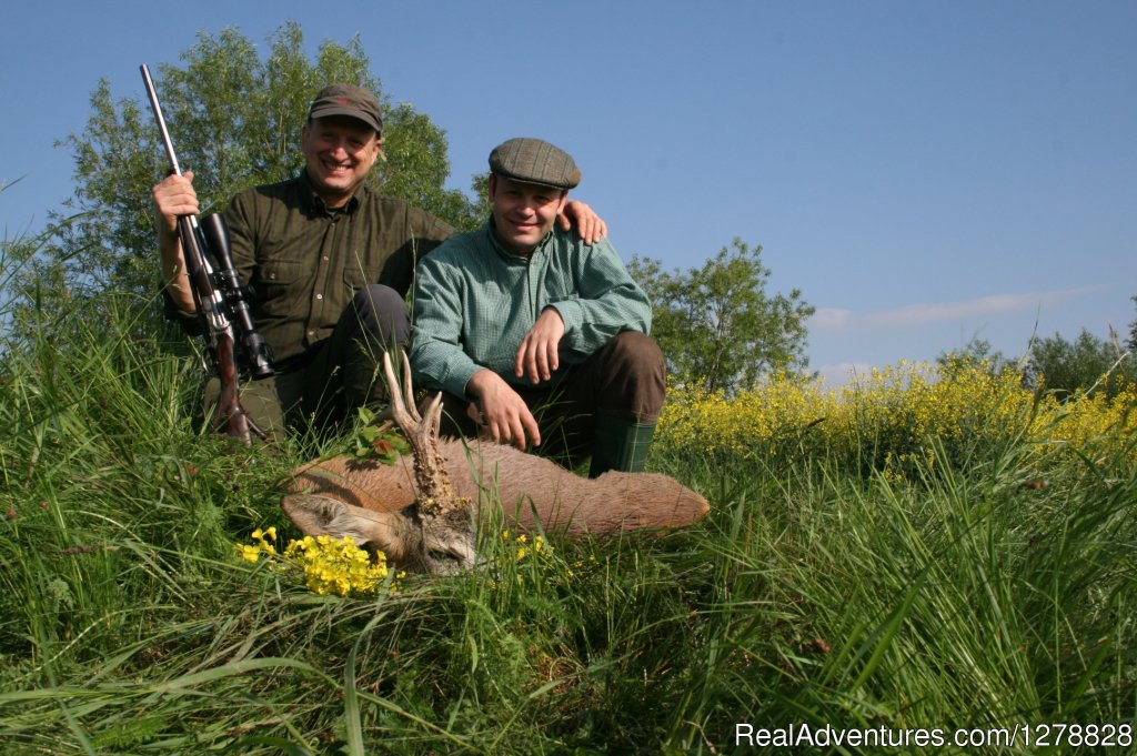 Roe deer stalking in Romania | Big and small game hunting in Romania | Image #13/26 | 