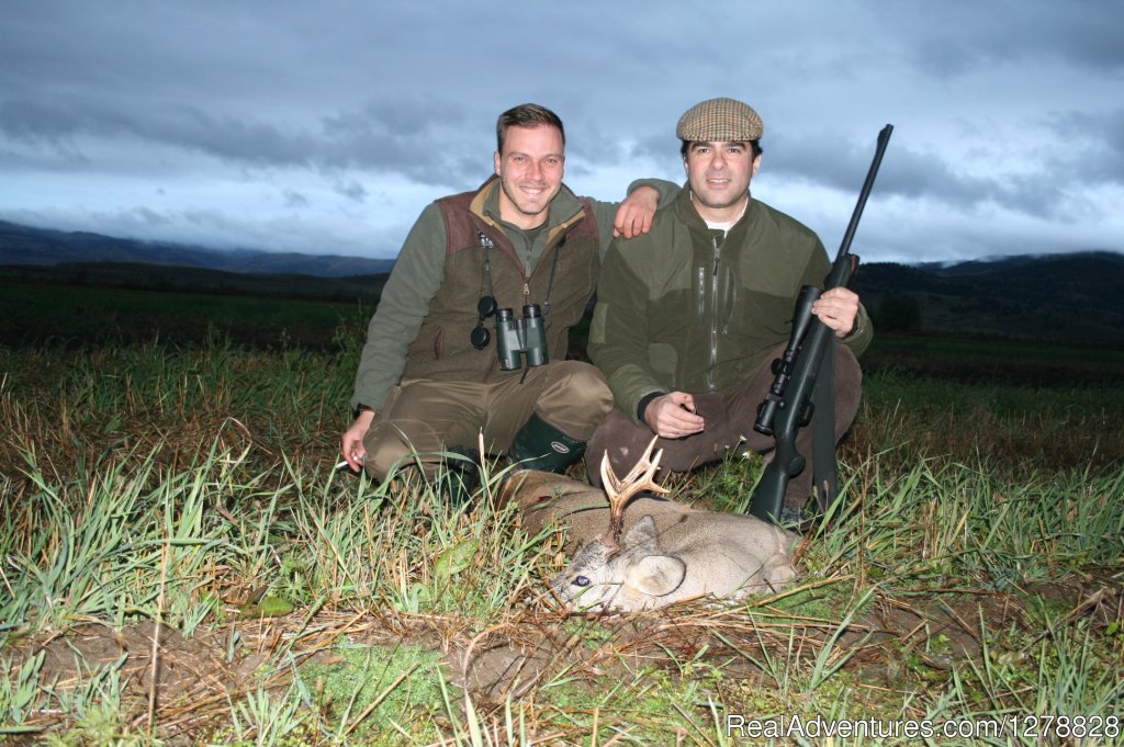Roe deer hunting | Big and small game hunting in Romania | Image #17/26 | 