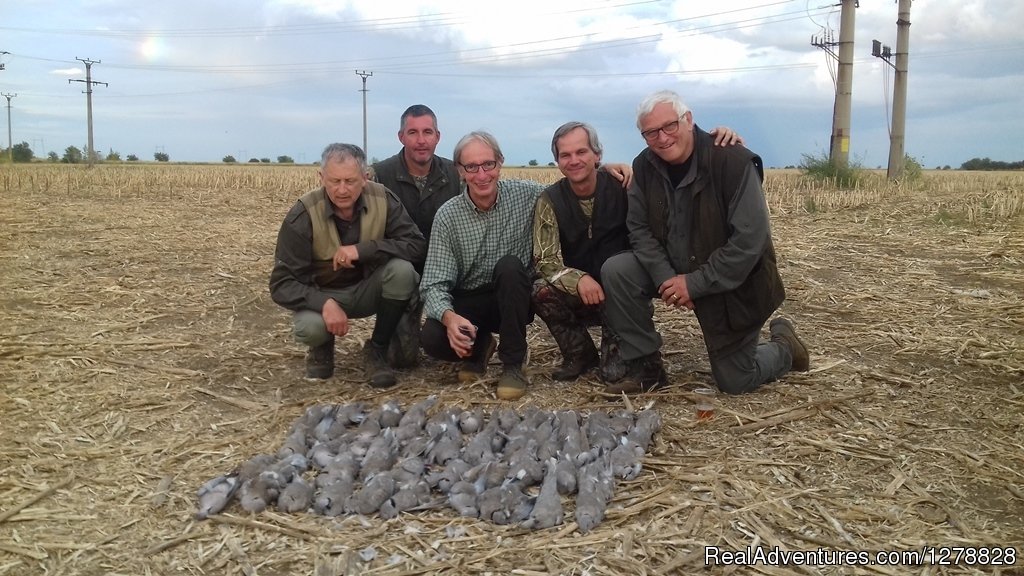 Quail and dove hunting | Big and small game hunting in Romania | Image #18/26 | 