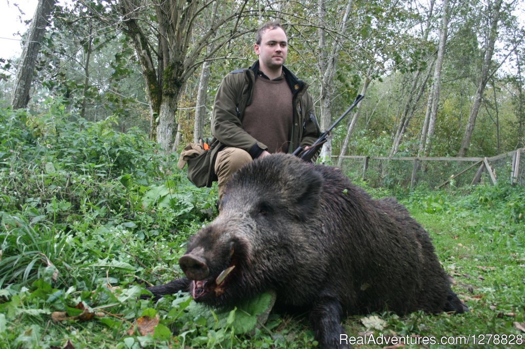 Wild boar hunting | Big and small game hunting in Romania | Image #20/26 | 
