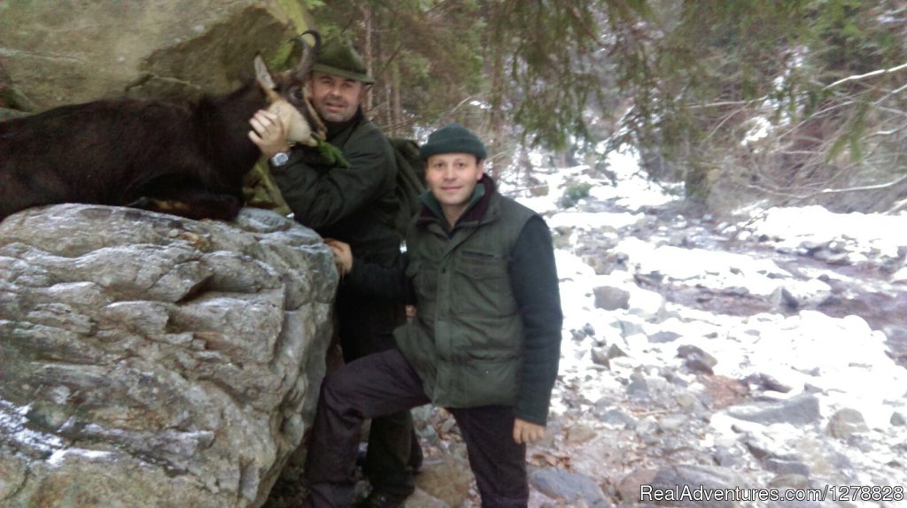 Carpathian chamois hunting | Big and small game hunting in Romania | Image #24/26 | 