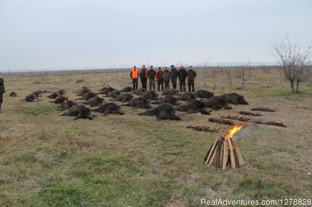 Big and small game hunting in Romania | Image #26/26 | 