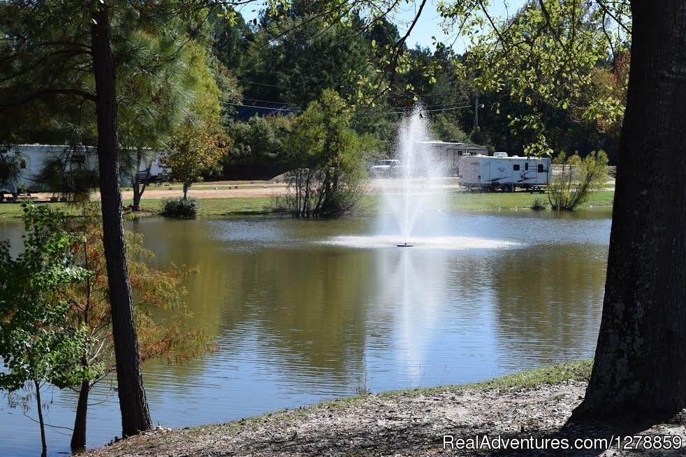 Fountain View and East Side of park | Magnolia RV Park, LLC | Image #2/13 | 